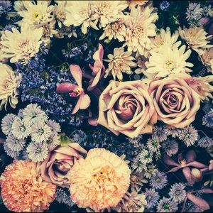 Meet your Posher, Meredith